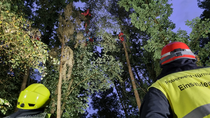 Nürnberger Feuerwehr rettet Fallschirmspringer aus Baum  